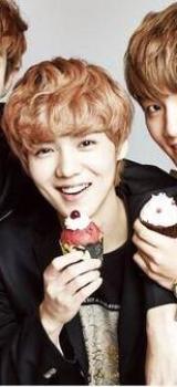 1459225_427393010723216_267282563_n