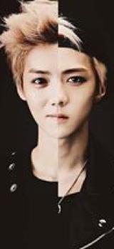 I see no difference - hunhan
